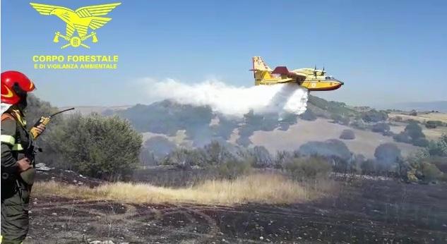 Boschi e aree protette distrutte dal fuoco nel sud Sardegna: 4 denunce per incendio colposo e 3 minori segnalati per incendio doloso