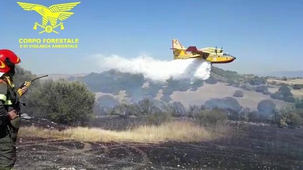 Boschi e aree protette distrutte dal fuoco nel sud Sardegna: 4 denunce per incendio colposo e 3 minori segnalati per incendio doloso