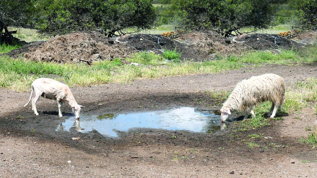 Spari al consorzio di Siniscola, Giovanni Bomboi davanti al giudice