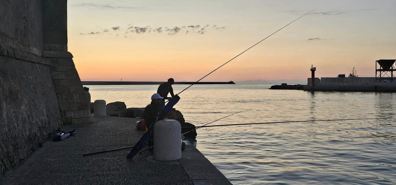Livorno, il porto e i suoi pescatori: buon giovedì da Grazia Quochi