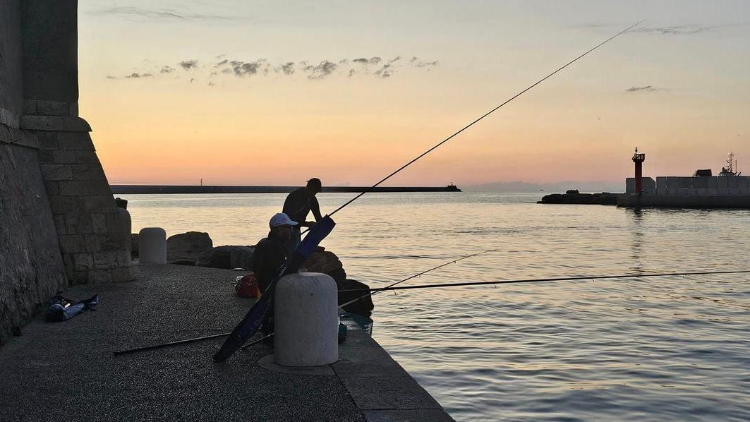 Livorno, il porto e i suoi pescatori: buon giovedì da Grazia Quochi