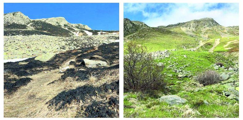 Monte Cusna prima e dopo: la natura cancella le tracce dell’incendio