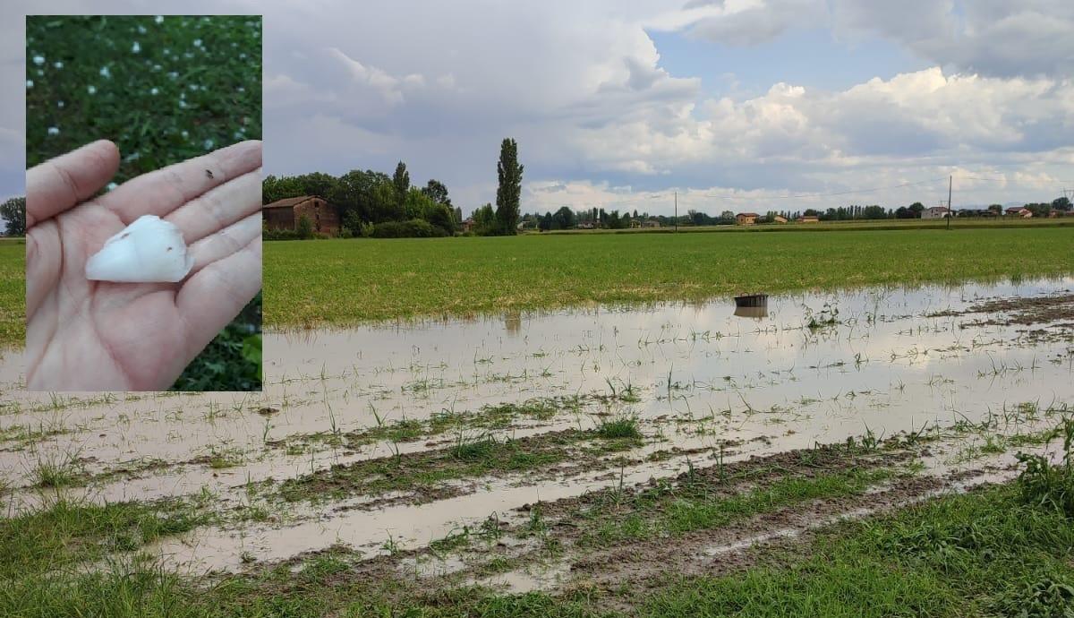 Ancora pioggia intensa e grandine a Modena, il nubifragio colpisce la Bassa