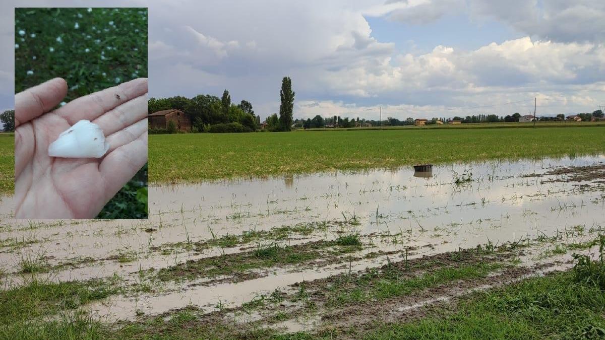 Ancora pioggia intensa e grandine a Modena, il nubifragio colpisce la Bassa