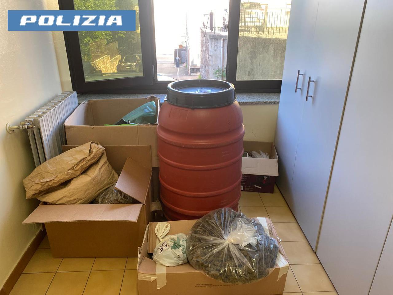 
	La marijuana sequestrata dalla polizia a casa del 38enne

