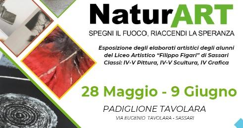 Sassari, opere d’arte contro gli incendi: la mostra dei ragazzi del liceo artistico