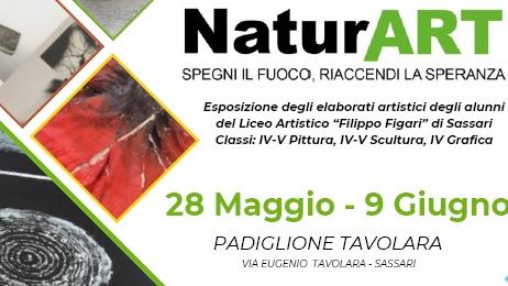 Sassari, opere d’arte contro gli incendi: la mostra dei ragazzi del liceo artistico