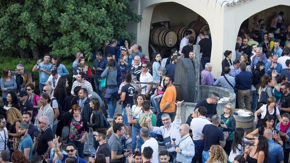 Cantine aperte, i piccoli e grandi regni isolani del vino spalancano le porte nel weekend