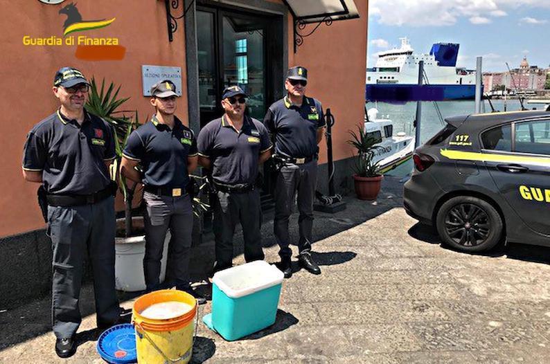 Livorno, scoperto in porto un carico di piante senza documenti. Maxi multa al proprietario