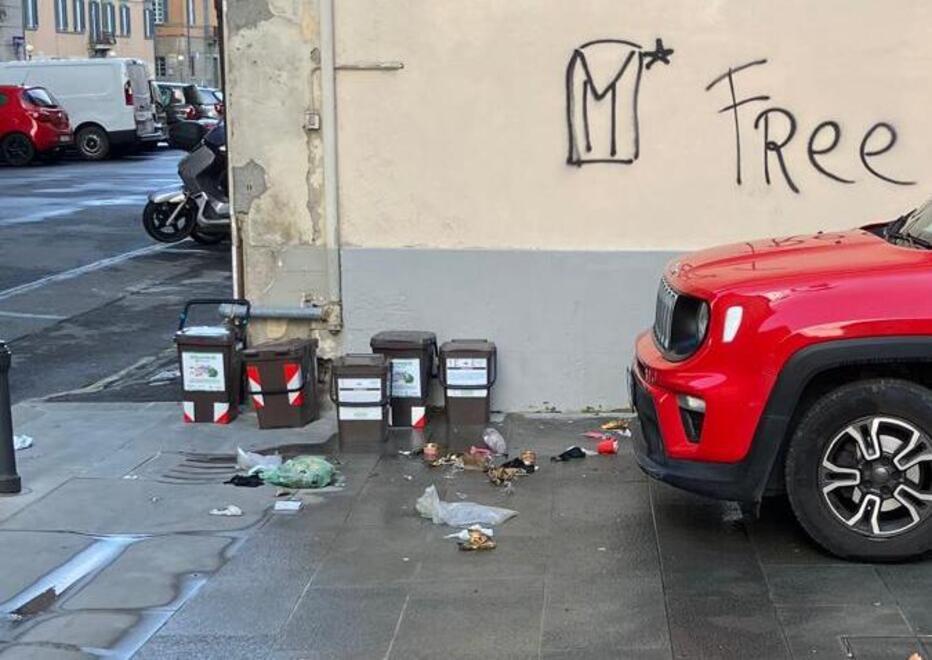 Alcuni mastelli assaltati dai gabbiani in Venezia