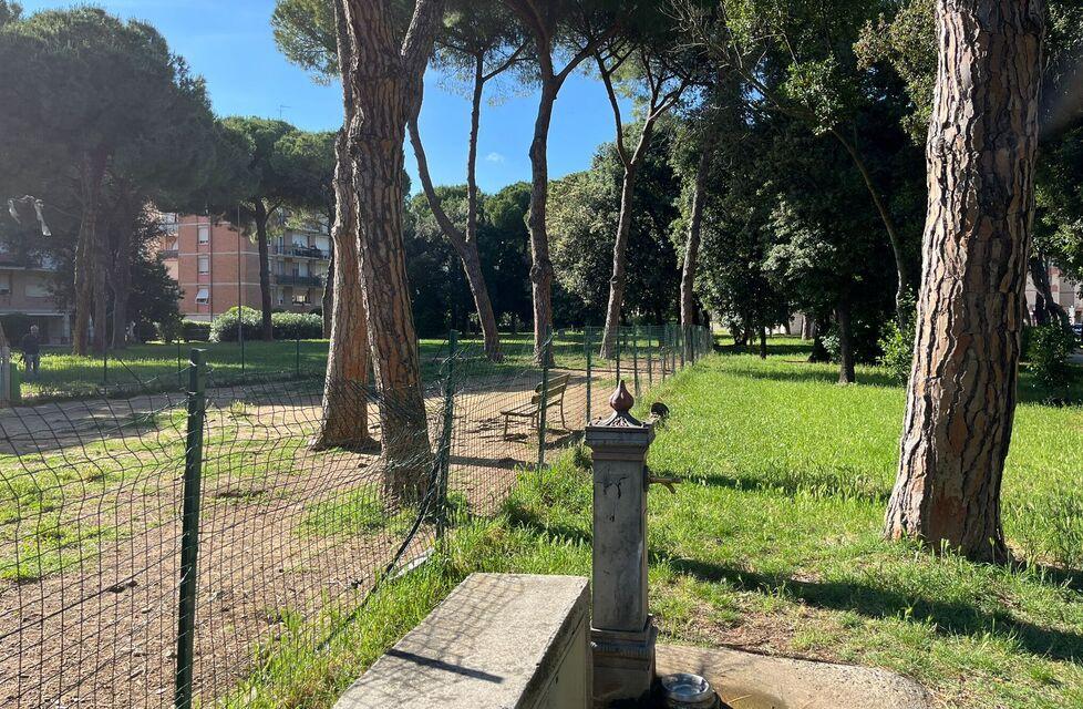 L’area verde in via Lorenzini dove sarebbe avvenuta l’aggressione (foto Franco Silvi)