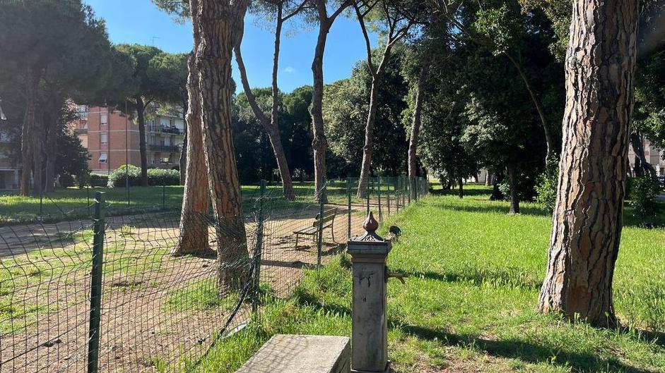 L’area verde in via Lorenzini dove sarebbe avvenuta l’aggressione (foto Franco Silvi)