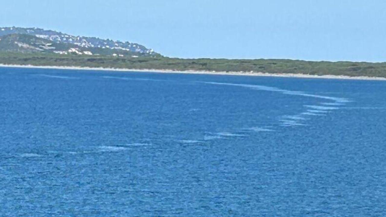 La schiuma gialla nel mare di Ansedonia