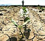 Dietro la crisi idrica decenni di incuria