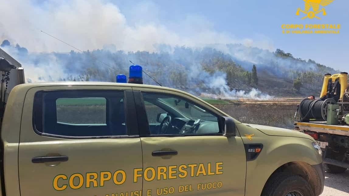 Vasto incendio nelle campagne di Decimomannu