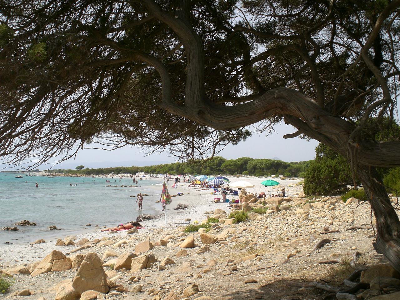 Spiagge a misura di bambino secondo i pediatri, ecco le bandiere verdi assegnate in Sardegna