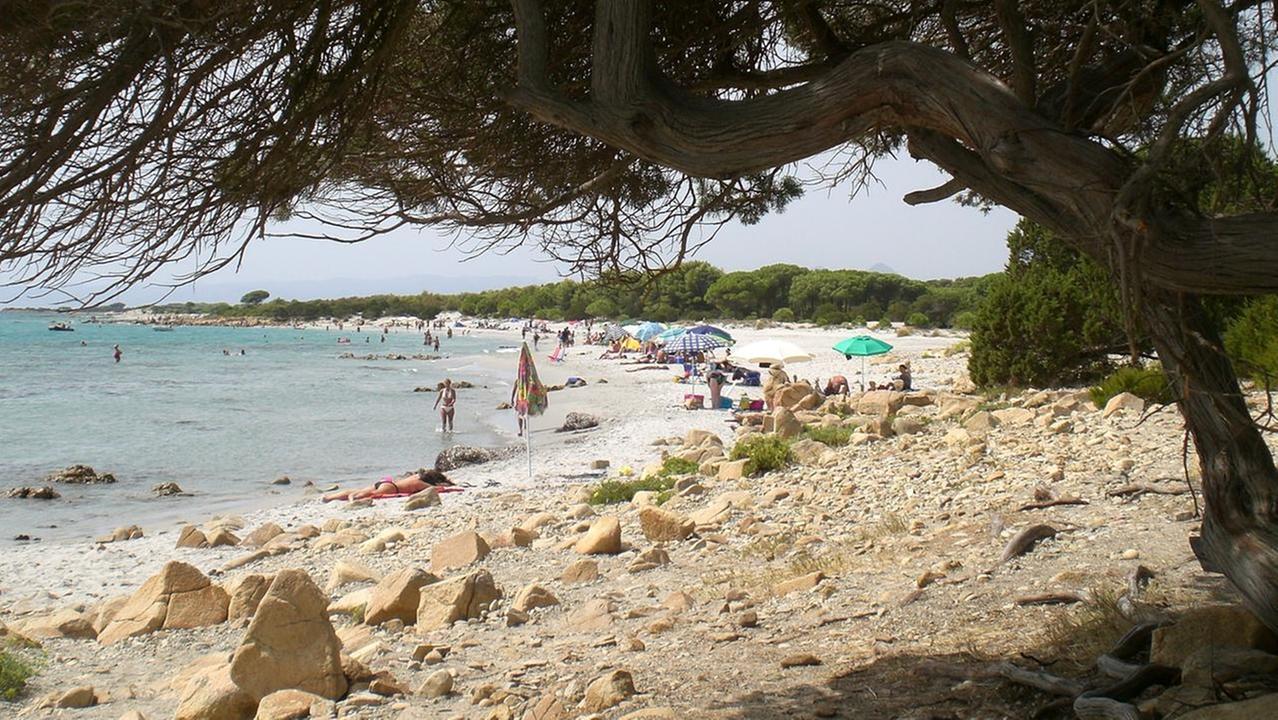 Spiagge a misura di bambino secondo i pediatri, ecco le bandiere verdi assegnate in Sardegna