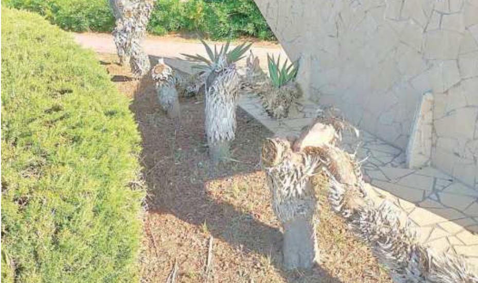 Vandali in azione a Lido Estensi