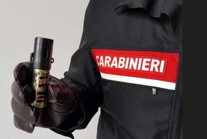 Ruba spray urticante a un agente e ferisce un’infermiera: arrestato