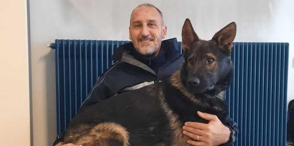 Niente pensione per il cane antidroga Viktor: «Sarà in servizio fino a dicembre»