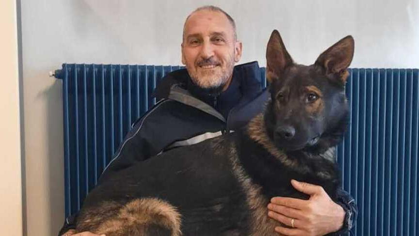 Niente pensione per il cane antidroga Viktor: «Sarà in servizio fino a dicembre»