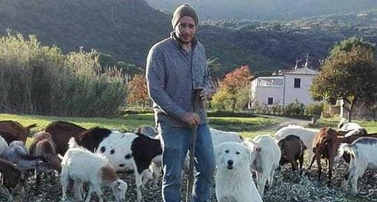 Daniele Mattera con alcune delle sue capre