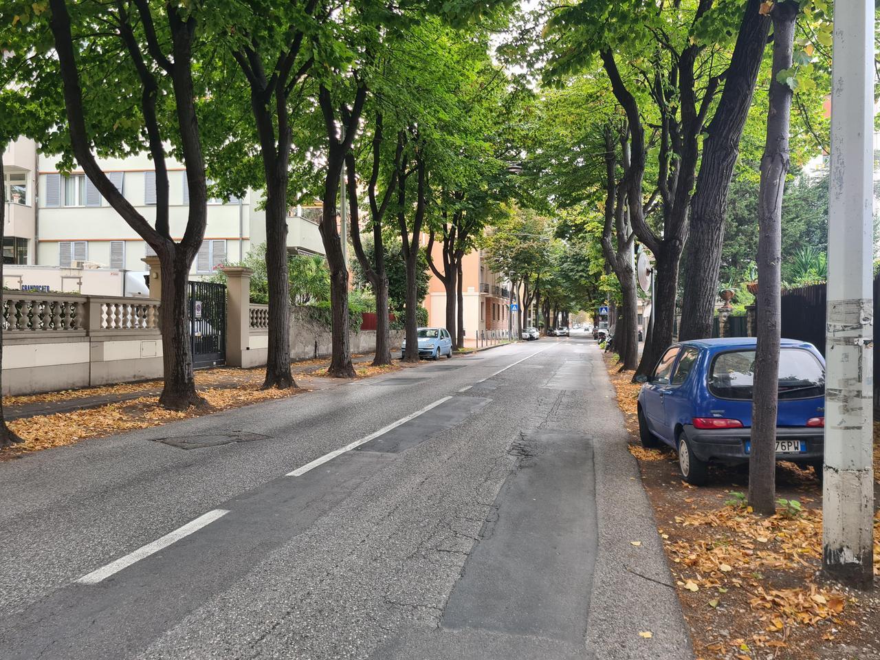 
	Viale Mameli (foto d'archivio)

