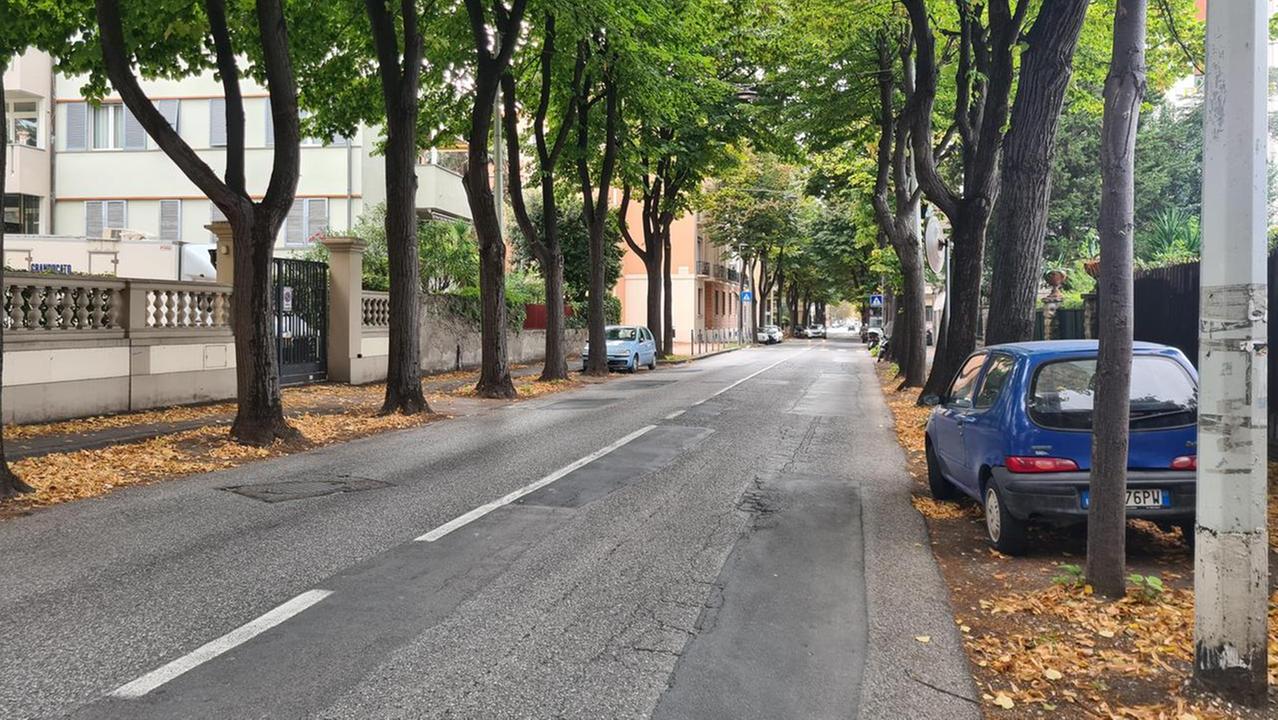 Viale Mameli (foto d'archivio)