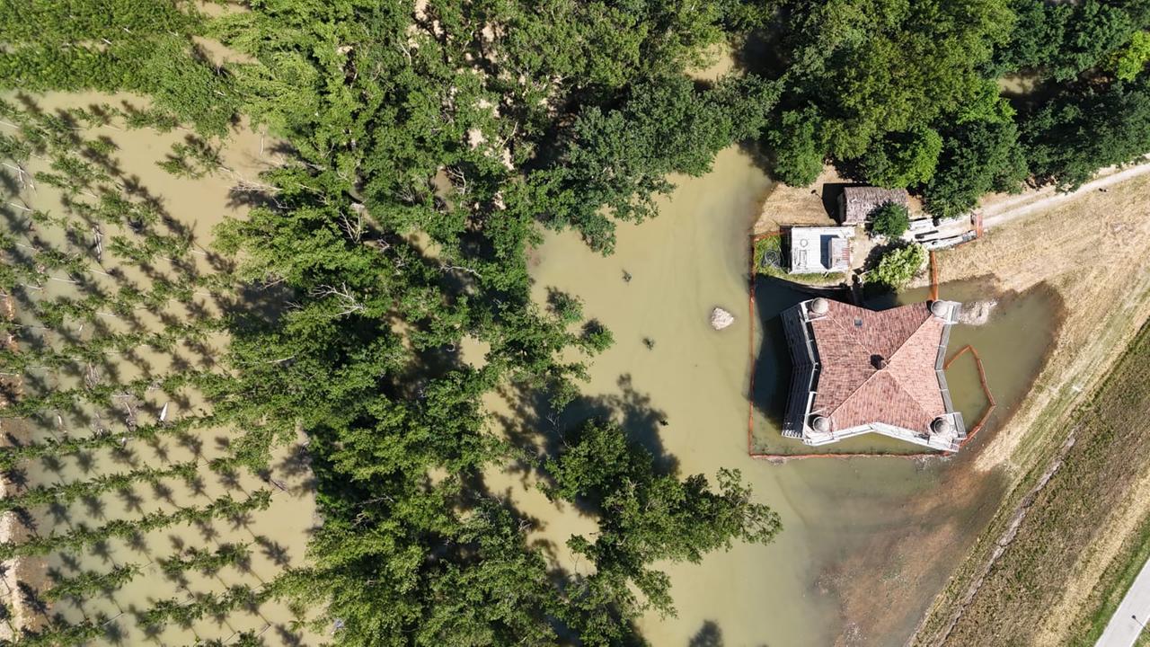 Stellata, dalla pioggia al proliferare di zanzare: «Rischio malattie»