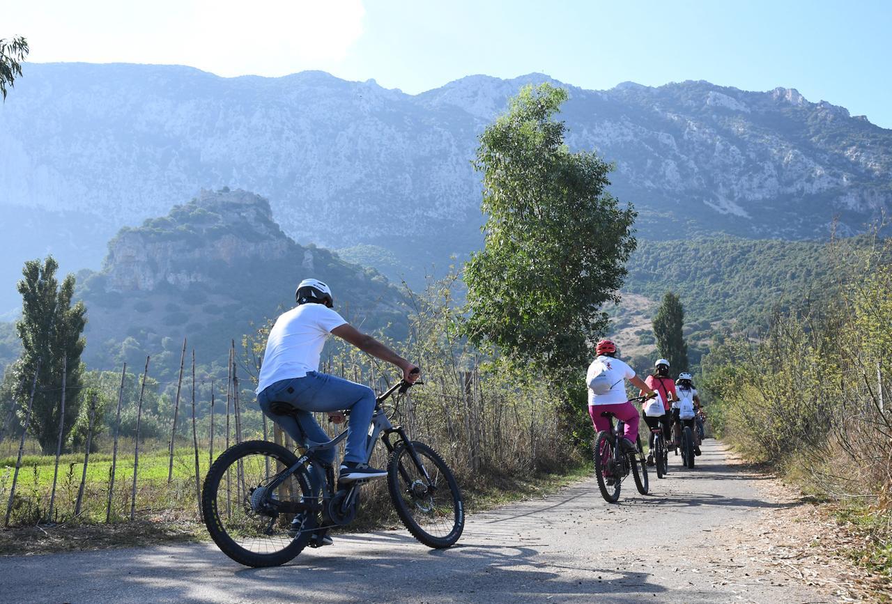 Al via da Olbia la tappa sarda di Bam, il raduno europeo dei viaggiatori in bici