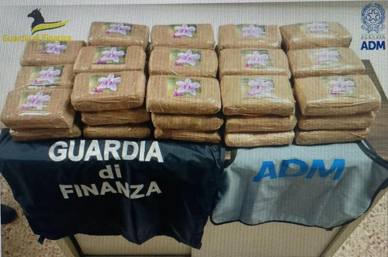 
	La droga sequestrata

