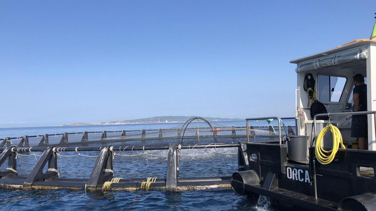 La produzione nel golfo