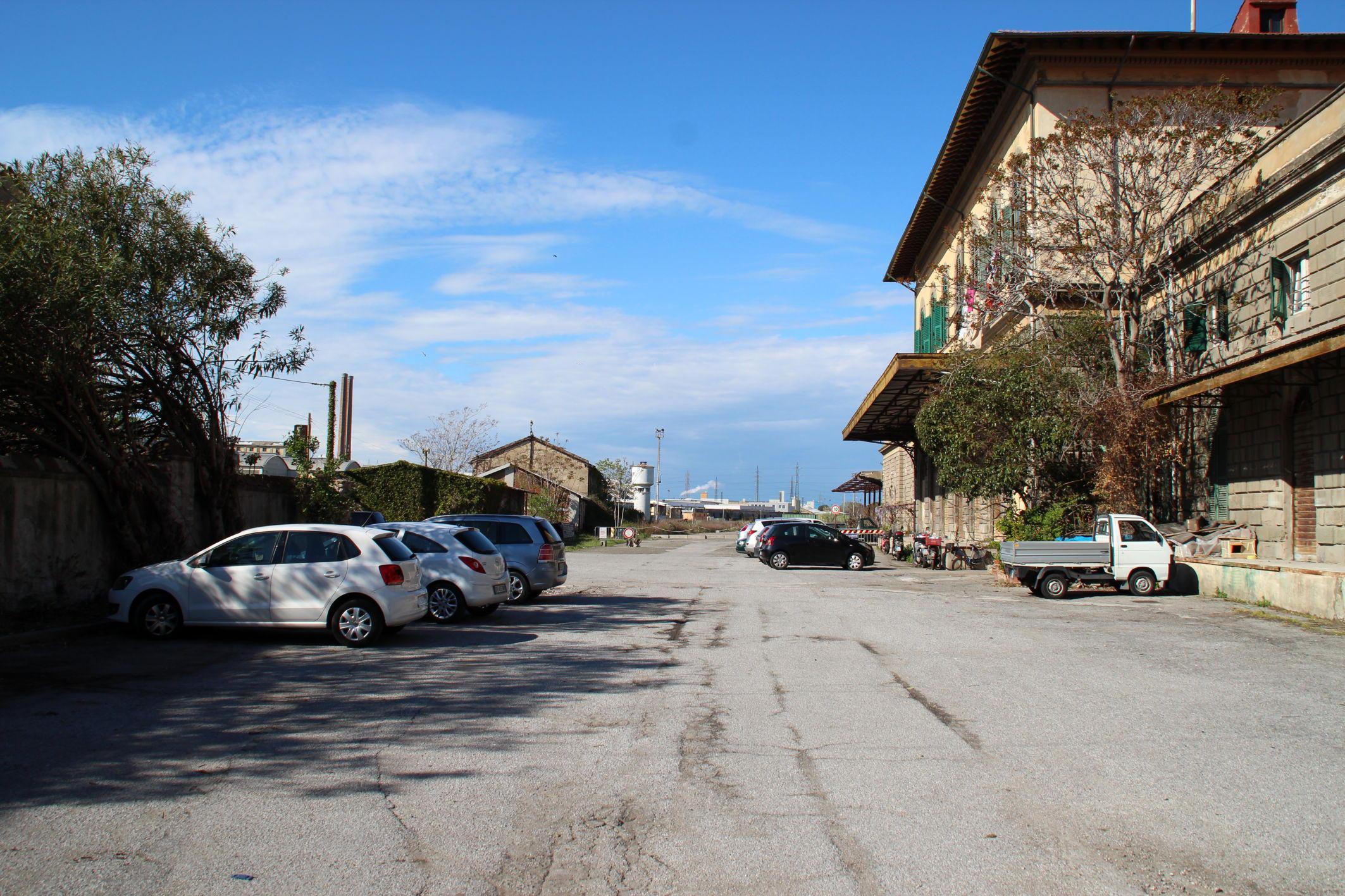 Sgozzano una pecora e minacciano coppia: 5 denunciati 