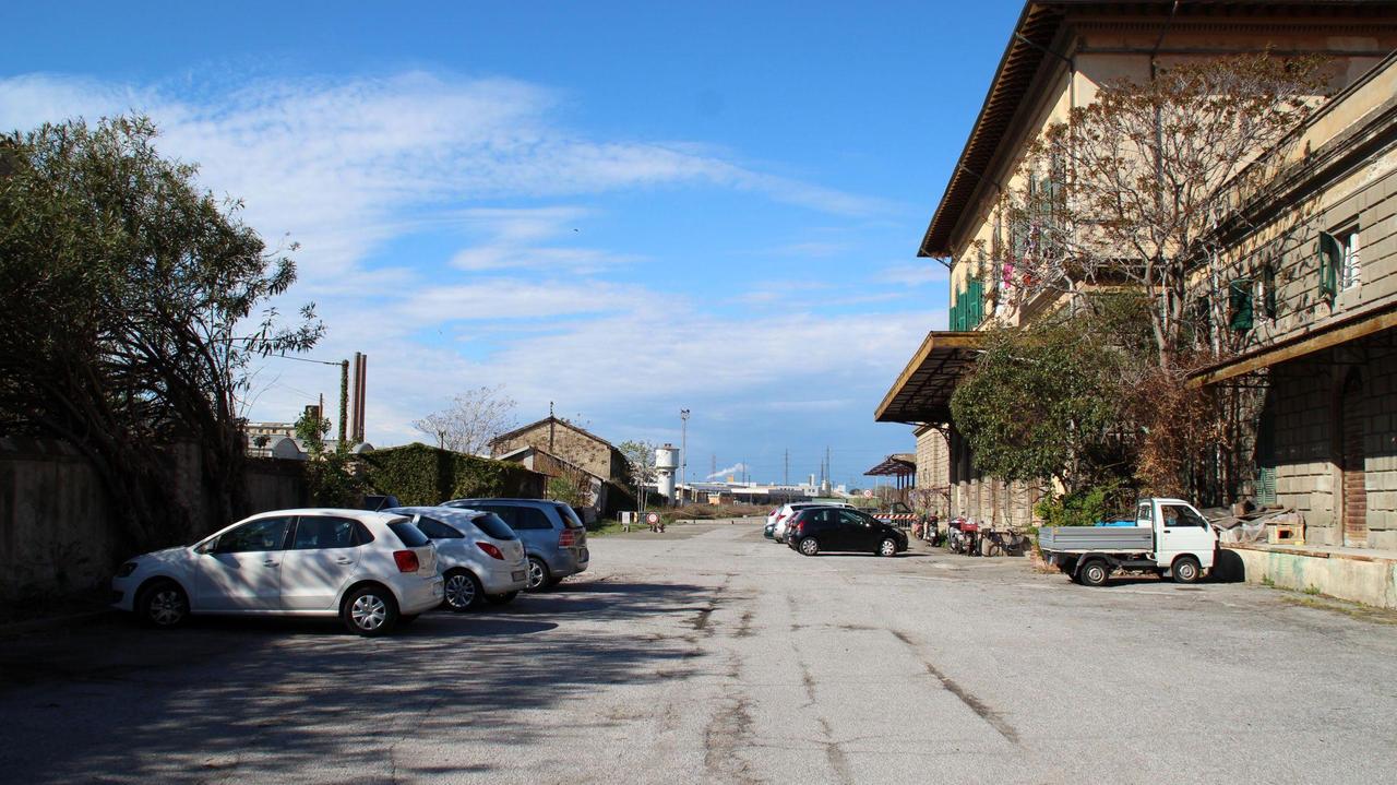 Sgozzano una pecora e minacciano coppia: 5 denunciati