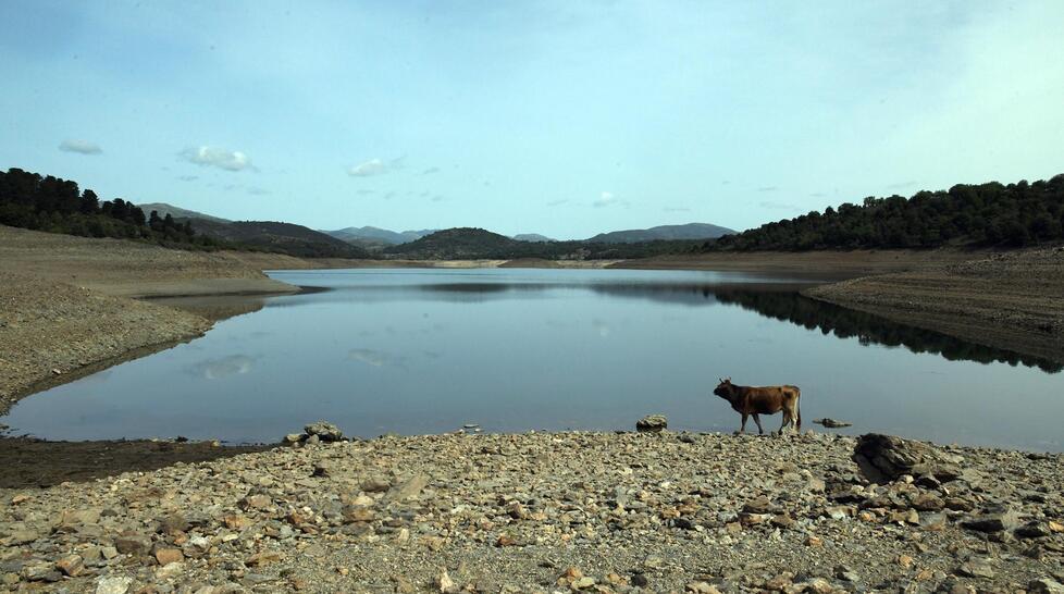 Piano straordinario anti siccità, la Regione a caccia di 151 milioni