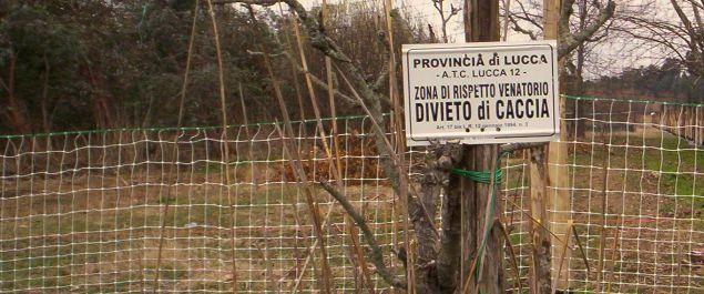 Lucca, spariscono 27mila euro dell’Atc: l’ex presidente finisce nei guai