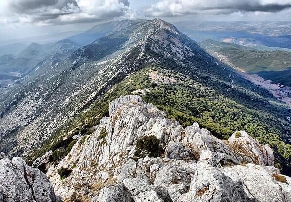 Acqua, sul bacino del Monte Albo un dossier snobbato da 10 anni
