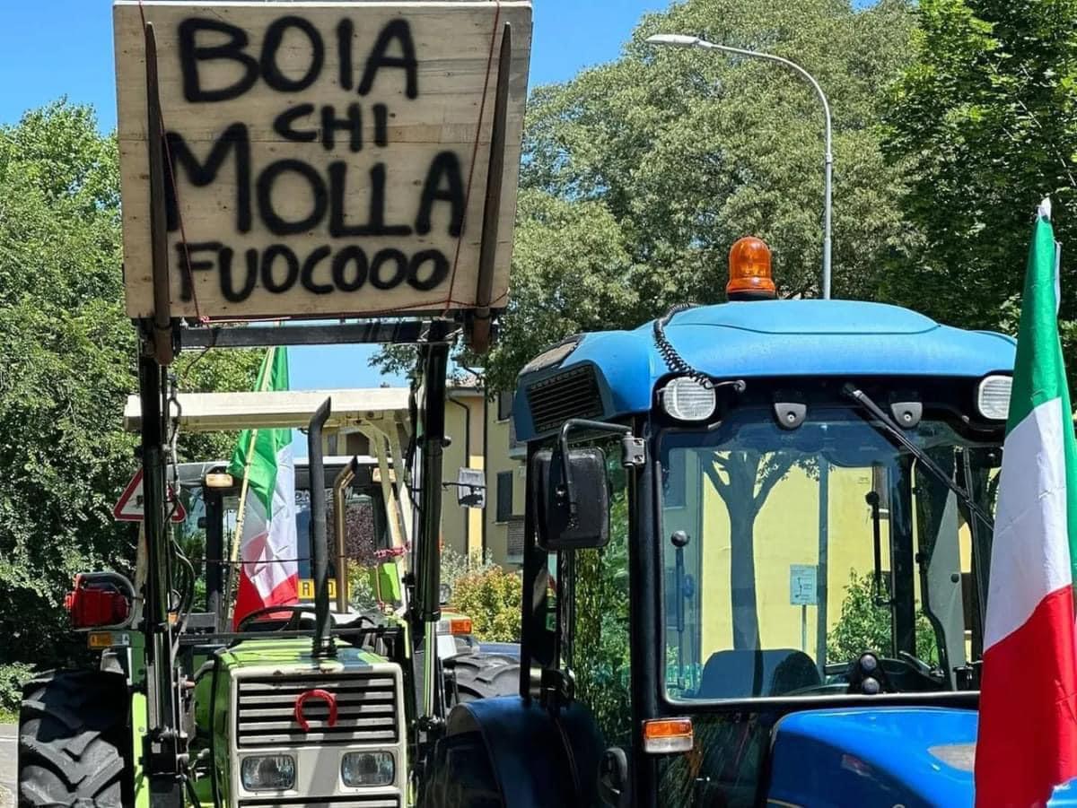 Bufera sulla scuola Zanelli: manifesti strappati e sui cartelli “Boia chi molla”