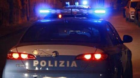 Pistoia, maestra di 43 anni muore da sola in casa: il fidanzato la trova vegliata dai cani e dai gatti<br>