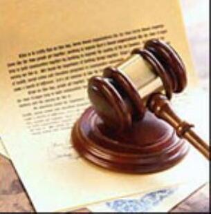 Ferrara, donna in fuga dalle botte: «Lotto per difendere mio figlio»