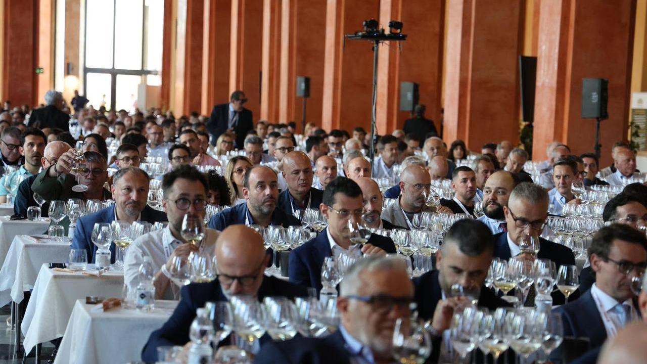 Assoenologi: «Per il vino di oggi e di domani le sfide sono qualità e sostenibilità»