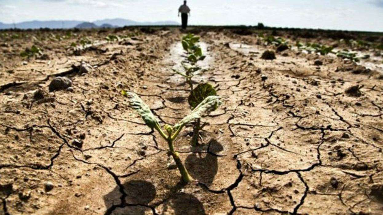 Nonostante le piogge la siccità resta un’emergenza: confermate le restrizioni nelle campagne, a rischio anche l’uso potabile