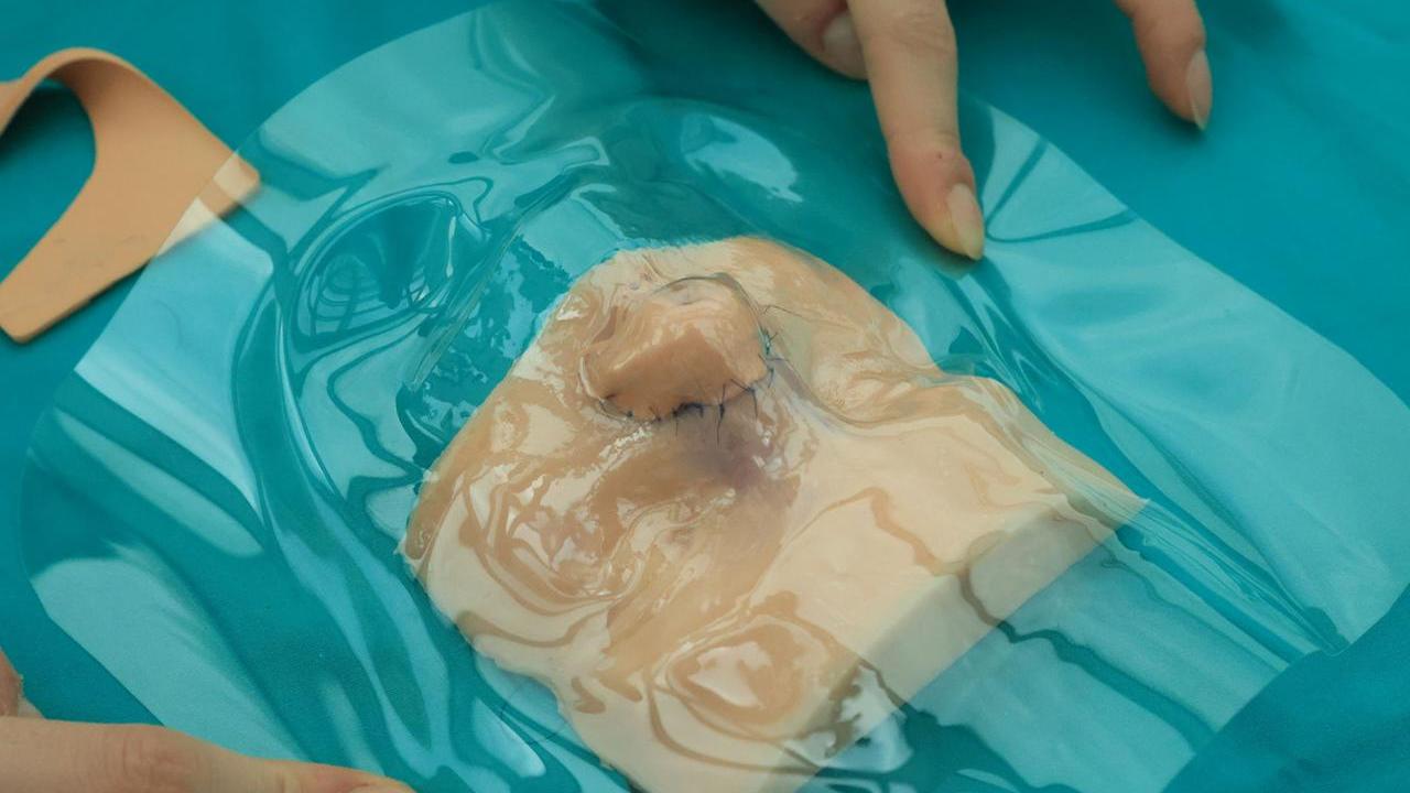 Il modello stampato in 3D