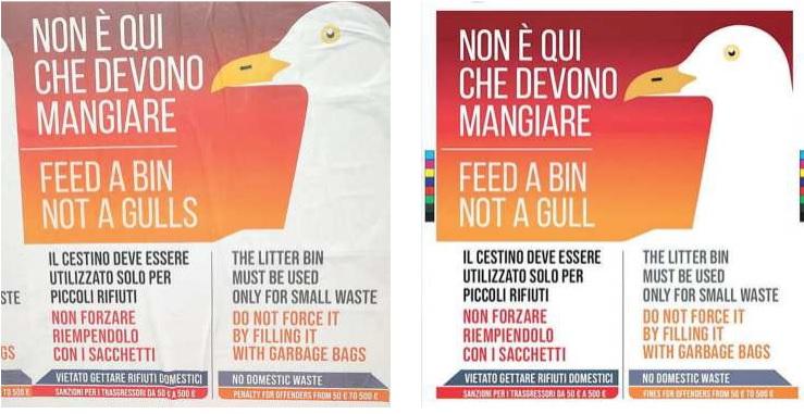 Gabbiani, cestini, rifiuti e sanzioni: l’Aamps scivola sui manifesti in inglese