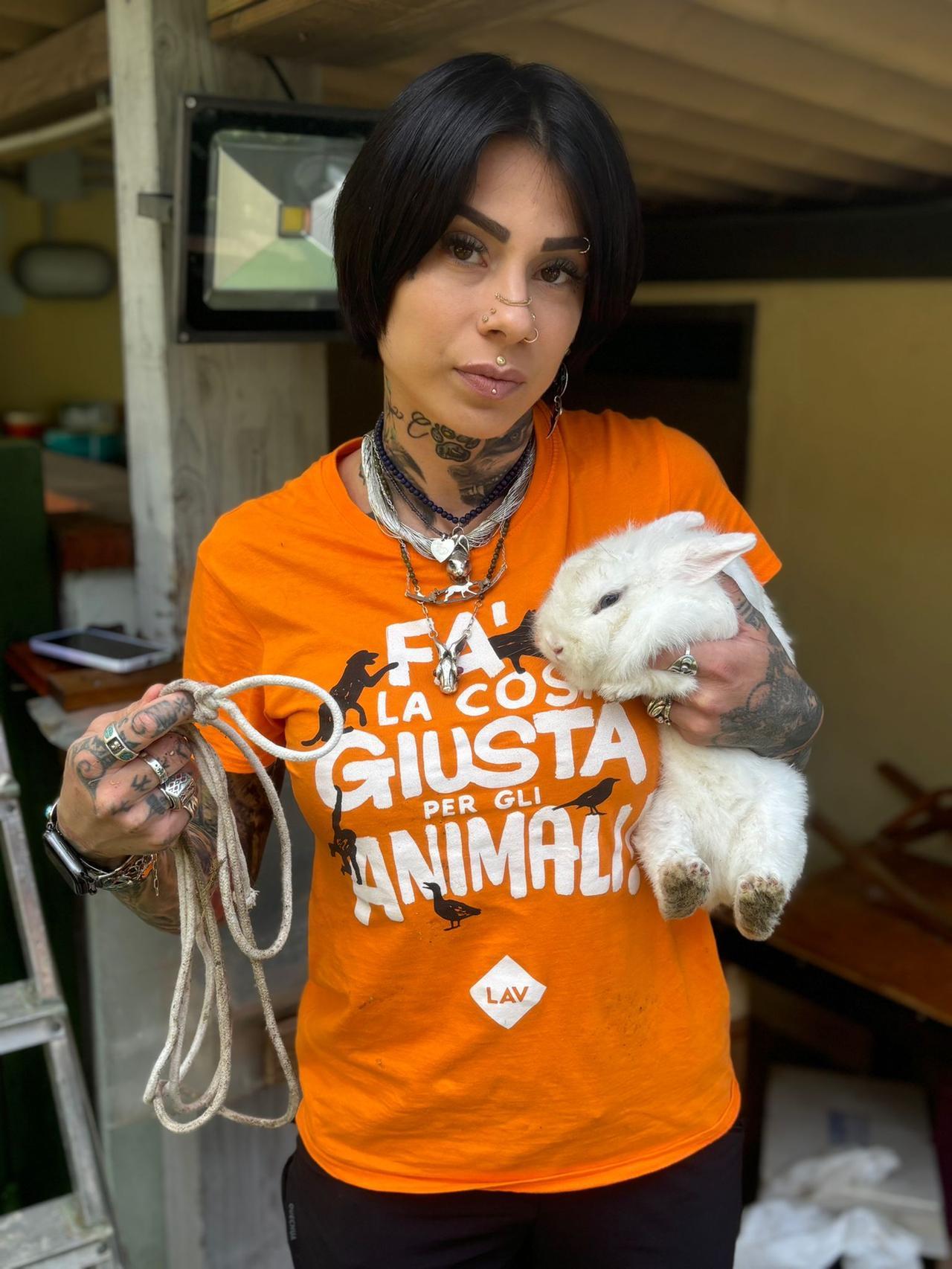 
	Uno dei conigli recuperati dalla Lav

