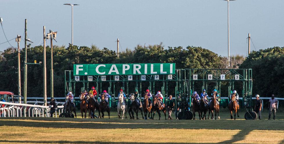 Caprilli, via alle corse tra gli ostacoli: viaggio nell’ippodromo livornese<br>
