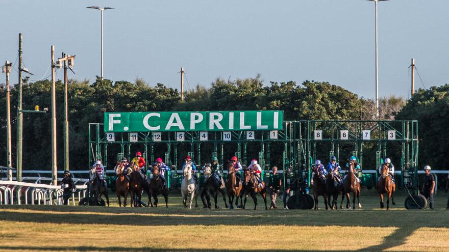 Caprilli, via alle corse tra gli ostacoli: viaggio nell’ippodromo livornese<br>