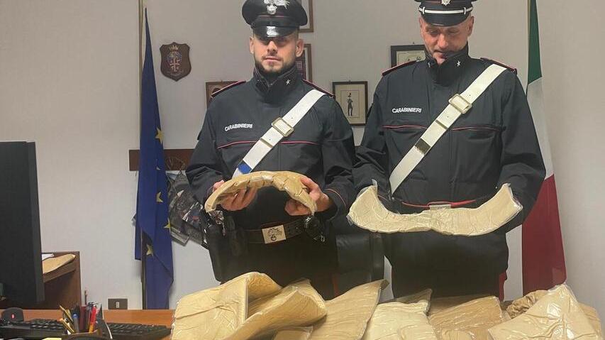 I carabinieri si fingono postini e trovano 25 chili di cocaina in casa di un 31enne