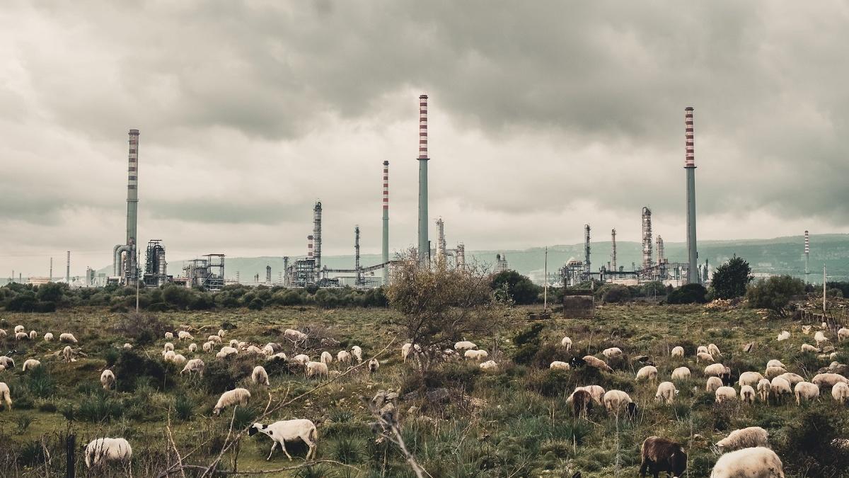 “Toxicily”: a Cagliari il film sui disastri ambientali in Sicilia menzione speciale al Festival dei Popoli