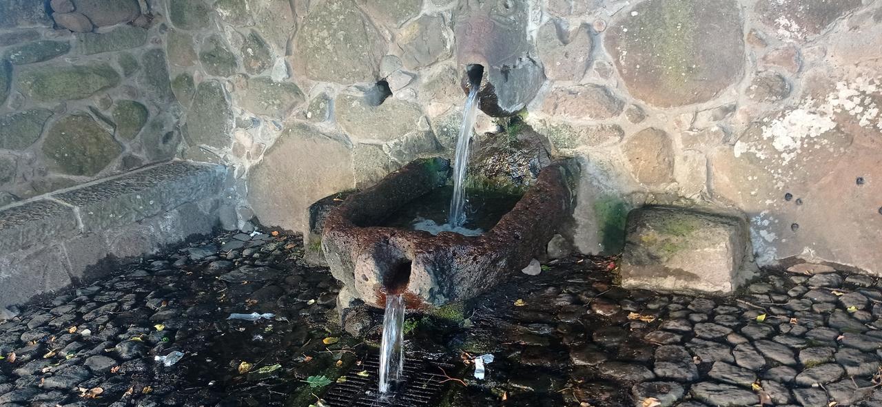 
	Una delle fonti di Bonarcado

